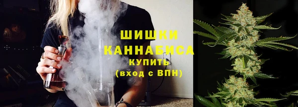 шишки Нефтекумск