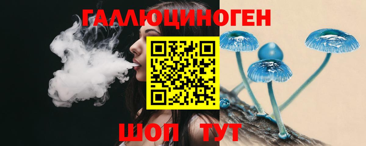 Галлюциногенные грибы Cubensis  Вход с VPN  Свободный 
