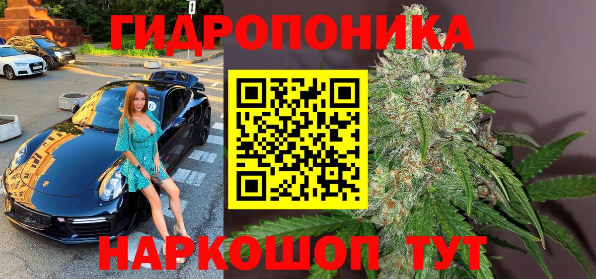 Бошки Шишки MAZAR Свободный